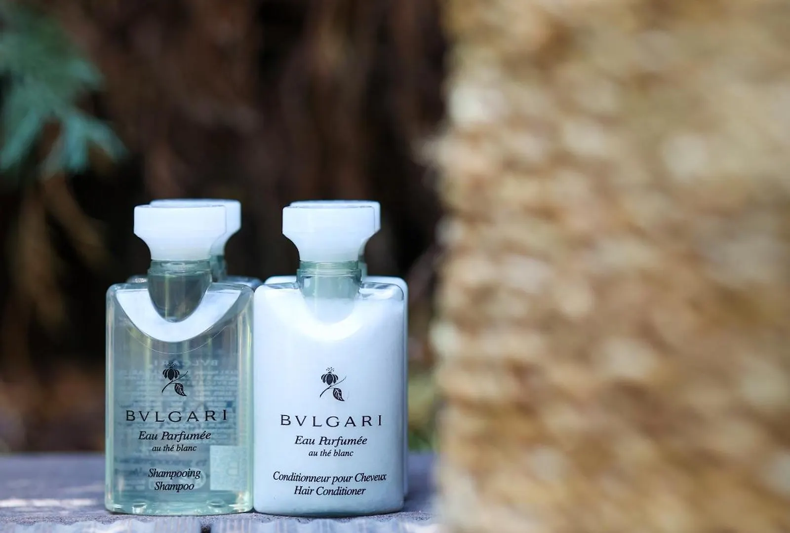 Voger Alacati Prive Çeşme Turcia